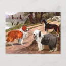 Zoek naar vintage hond briefkaarten Dier
