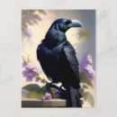 Zoek naar raven briefkaarten Dieren