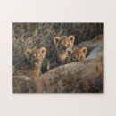 Zoek naar grote kat puzzels Kubus