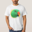 Zoek naar parrot tshirts Eclectus