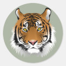 Zoek naar tijger gezicht stickers Tijgers