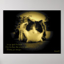 Zoek naar calico kat posters Voor hem/haar