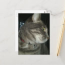 Zoek naar pentagram briefkaarten Kat