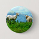 Zoek naar landbouw buttons Schapen