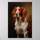 Zoek naar ierse kunst Jachthond