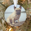 Zoek naar french bulldog ornamenten Canine