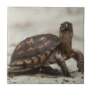 Zoek naar waarschuwing tegels Danita delimont