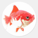 Zoek naar goudvis stickers Vijver