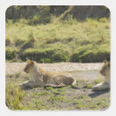Zoek naar vergadering stickers Natuur