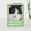Zoek naar beterschap kaarten Katten