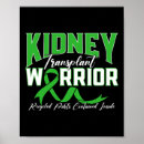 Zoek naar rénal posters Nier