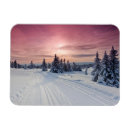 Zoek naar ijs magneten Bos