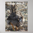 Zoek naar kippenkont posters Grappig