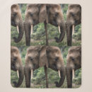 Zoek naar olifant dekens Wild