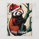 Zoek naar leuke rode panda posters Beer