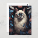 Zoek naar siamese kat briefkaarten Portret