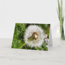 Zoek naar zaden kaarten Dandelion