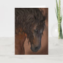 Zoek naar equine kaarten Boerderij