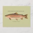 Zoek naar latijn briefkaarten Illustratie