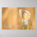 Zoek naar carpe diem posters Aanmoediging