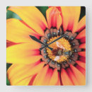 Zoek naar extreem klokken Kleurenbeeld