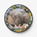 Zoek naar afrika fotografie Wild