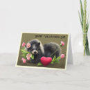 Zoek naar stinkdieren kaarten Liefde