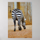 Zoek naar zigzag strepen posters Zwart