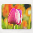 Zoek naar tulip muismatten Knol