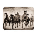 Zoek naar zuidwesten magneten Woestijn