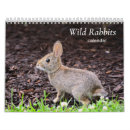 Zoek naar konijnen kalenders Bunnies
