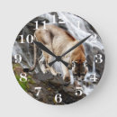 Zoek naar waterval klokken Dieren