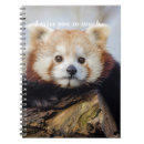 Zoek naar rode panda notitieboeken Beer