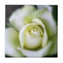 Zoek naar macro tegels Floreel