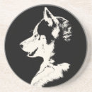 Zoek naar alaskan malamute bar drinkwaren Misleiding