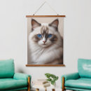 Zoek naar leuke katten kunst Voor huisdieren