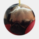 Zoek naar pugs ornamenten Elk persoon