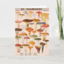 Zoek naar giftige paddestoel Giftige paddestoelen