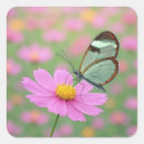 Zoek naar vlinder vleugels stickers Bloem