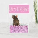 Zoek naar ratten kaarten Schattig