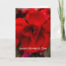 Zoek naar eeuwigdurend kaarten Fotografie