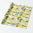 Zoek naar transparant cadeaupapier Patroon