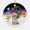 Zoek naar shih tzu ornamenten Pets