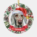 Zoek naar weimaraner ornamenten Waterverf