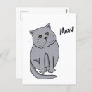 Zoek naar miauw briefkaarten Dieren