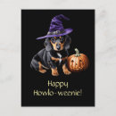 Zoek naar grappige heks briefkaarten Schattig