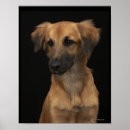 Zoek naar hond neus kunst Huisdieren
