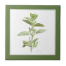 Zoek naar groen tegels Tuin