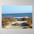 Zoek naar duin posters Eiland