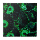 Zoek naar fossiel tegels Groen